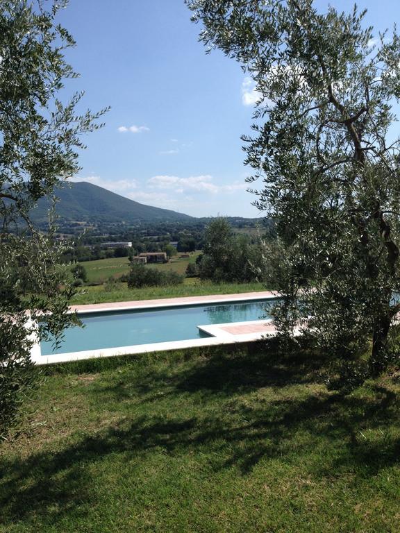 La Casa Nell'Oliveto Bed & Breakfast Acquasparta Luaran gambar